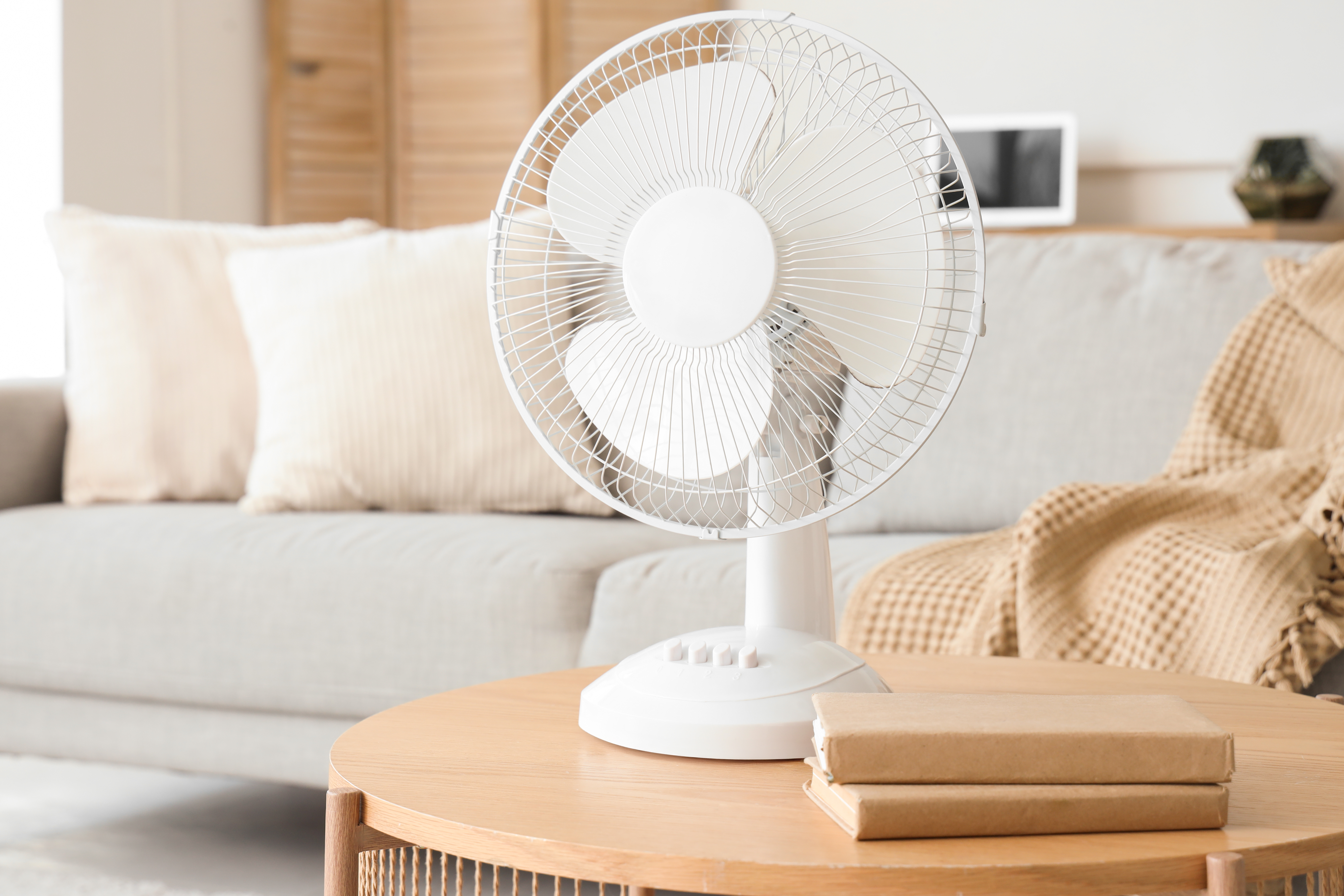 Les ventilateurs sur pied sont une solution efficace et abordable pour lutter contre la chaleur estivale © Pixel-Shot, Adobe Stock