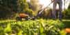 Transformez votre jardin en un havre de paix et de verdure cet été ! Les Prime Days Amazon 2025 sont l'occasion idéale pour s'équiper en tondeuses, outils de jardinage et systèmes d'arrosage à des prix exceptionnels. © Anastasiia, Adobe Stock
